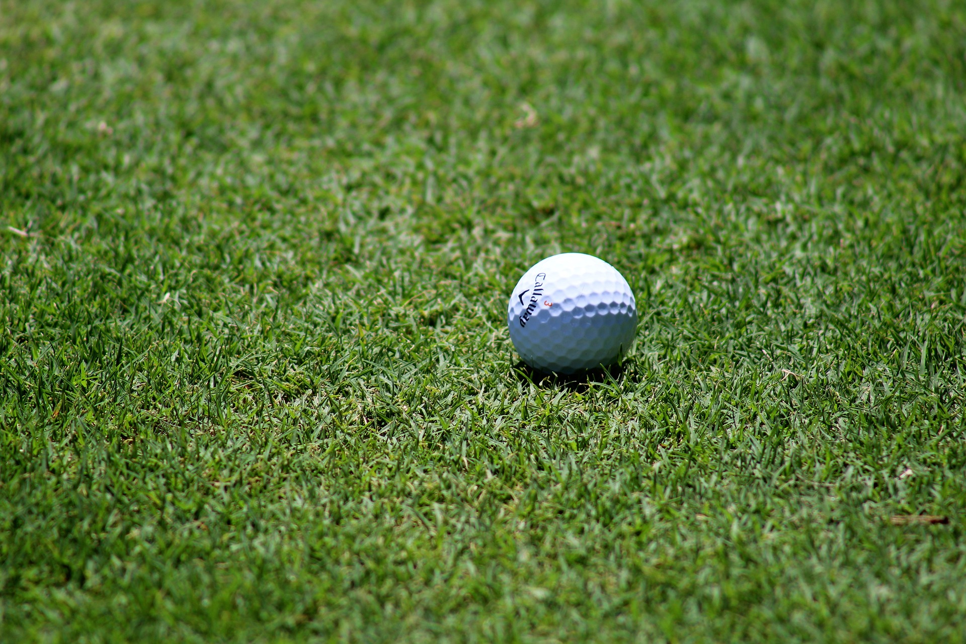 A golf ball on the putting green