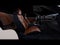 2026 Ford Mustang EcoBoost® Premium Convertible
