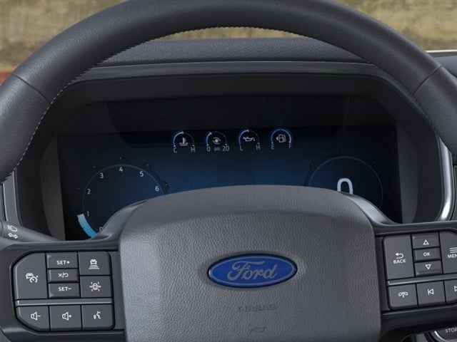 2025 Ford F-150 Platinum®