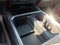 2020 Ford F-450 Super Duty XLT DRW