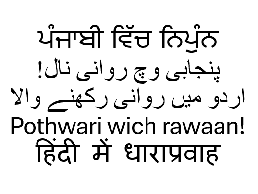Khurram Naseem Languages